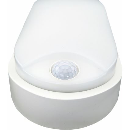 LED Vonkajšie stropné svietidlo so senzorom LED/14W/230V IP54 biela