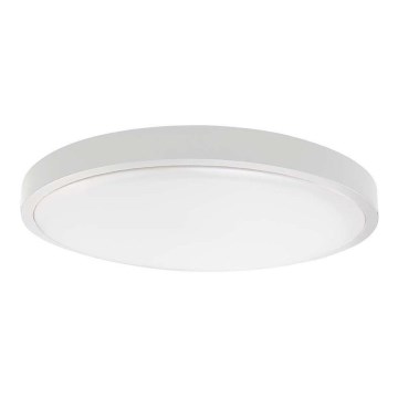 LED  Vonkajšie stropné svietidlo so senzorom LED/24W/230V 3000K IP44 biela