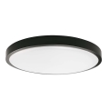 LED Vonkajšie stropné svietidlo so senzorom LED/24W/230V 4000K IP44 čierna
