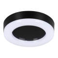 LED Vonkajšie stropné svietidlo TURA LED/15W/230V 4000K IP65 čierna