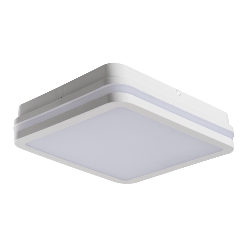 LED Vonkajšie svietidlo BENO LED/24W/230V 4000K biela IP54