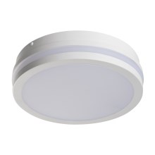 LED Vonkajšie svietidlo so senzorom BENO LED/18W/230V 4000K biela IP54