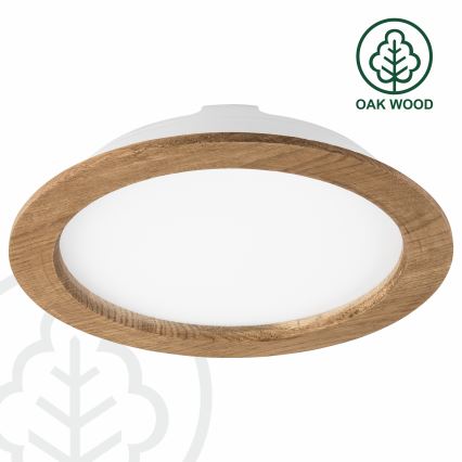 Stropné svietidlo s bielym difúzorom je osadené do dubového rámu. Svietidlo je zobrazené na bielom pozadí. Text na obrázku: OAK WOOD.