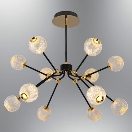 LED Závesná lampa GELA 12xLED/5W/230V 3000K čierna/zlatá