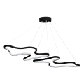 LED Závesný luster DUPLE ARTISAN LED/80W/230V 4000K čierny