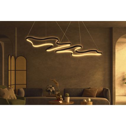 LED Závesný luster DUPLE ARTISAN LED/80W/230V 4000K čierny