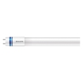 LED Žiarivková trubica Philips MASTER T8 G13/8W/50V 6500K 60 cm