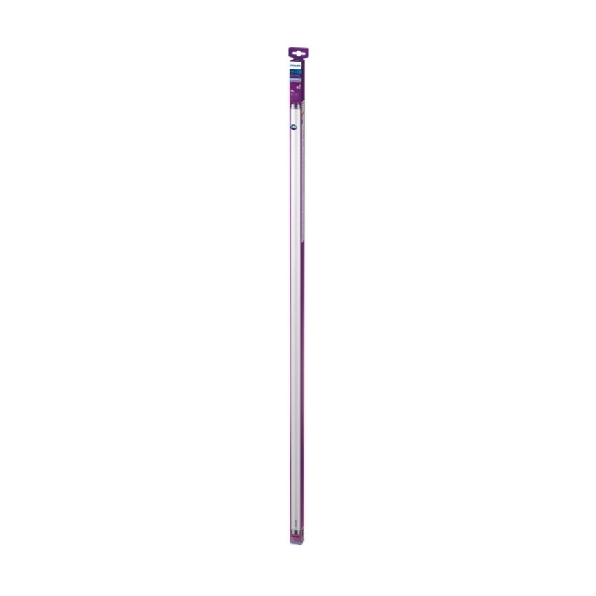 LED Žiarivková trubica Philips T8 G13/16W/230V 6500K 120 cm