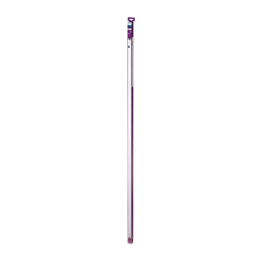 LED Žiarivková trubica Philips T8 G13/19,5W/230V 3000K 150 cm