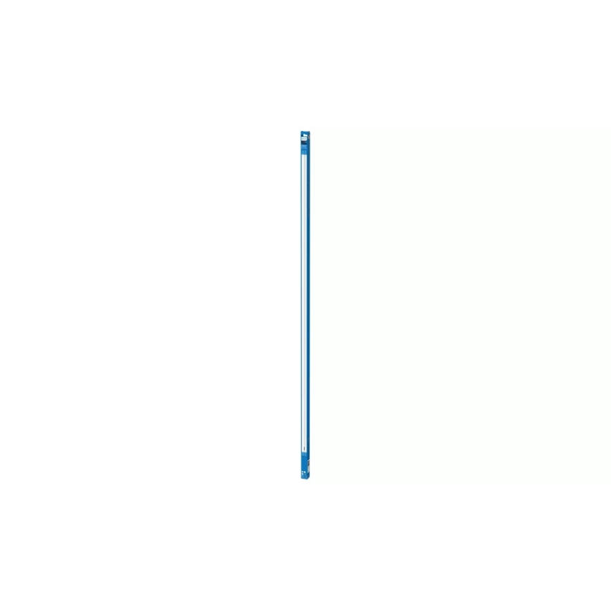 LED žiarivková trubica Philips T8 G13/31,5W/230V 3000K 150 cm