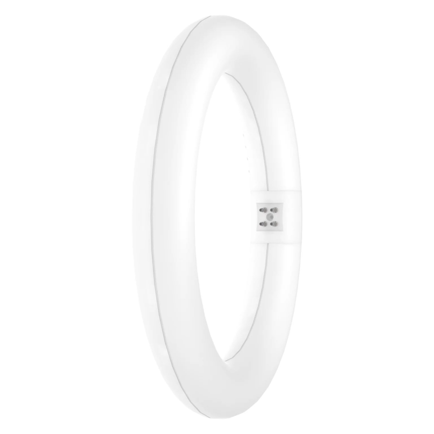 LED Žiarivková trubica SUBSTITUBE T9 G10q/12W/230V 4000K pr. 21,2 cm - Osram