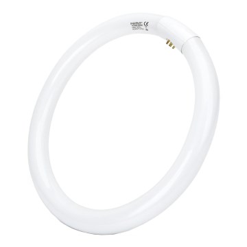 LED Žiarivková trubica T9 G24q-1/32W/230V 6500K - Aigostar