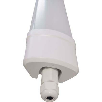 LED Žiarivkové svietidlo DAISY LED/40W/230V 4000K IP65