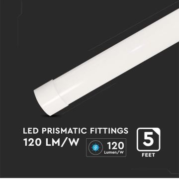 LED Žiarivkové svietidlo SAMSUNG CHIP LED/50W/230V 6500K 150 cm