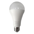 LED Žiarovka A65 E27/18W/230V 4200K