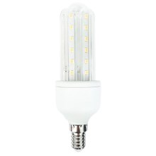LED Žiarovka E14/12W/230V 6400K - Aigostar 100100KOW