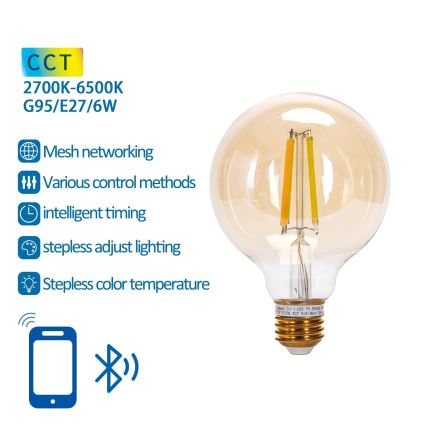 LED Stmievateľná žiarovka FILAMENT MESH Smart G95 E27/6W/230V 2700-6500K - Aigostar