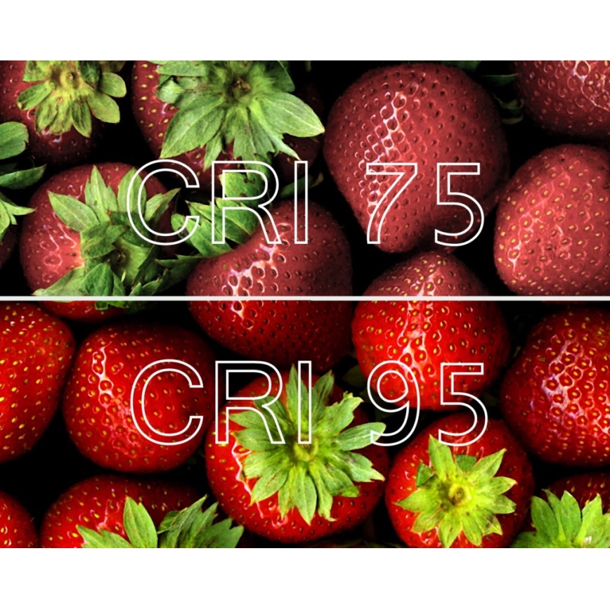 LED Žiarovka MINI E14/6W/230V 2700K CRI 96 Ra