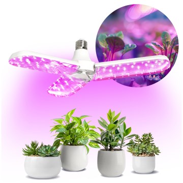 LED Žiarovka na rast rastlín PLANTY E27/24W/230V 1200K