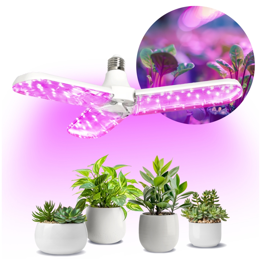 LED Žiarovka na rast rastlín PLANTY E27/24W/230V 1200K