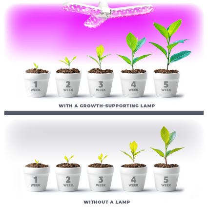 LED Žiarovka na rast rastlín PLANTY E27/24W/230V 1200K