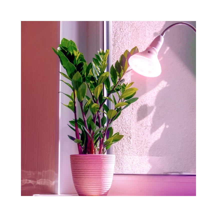 LED Žiarovka na rast rastlín PLANTY E27/7W/230V 1200K biela