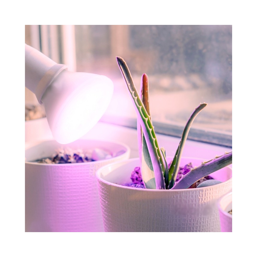 LED Žiarovka na rast rastlín PLANTY E27/7W/230V 1200K biela