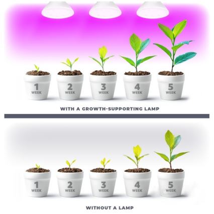 LED Žiarovka na rast rastlín PLANTY E27/7W/230V 1200K biela