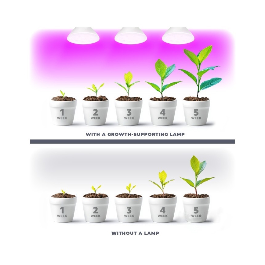 LED Žiarovka na rast rastlín PLANTY E27/7W/230V 1200K biela