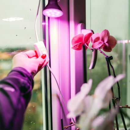 LED Žiarovka na rast rastlín PLANTY E27/7W/230V 1200K čierna