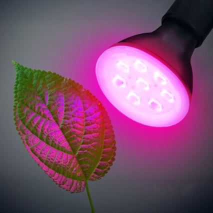 LED Žiarovka na rast rastlín PLANTY E27/7W/230V 1200K čierna