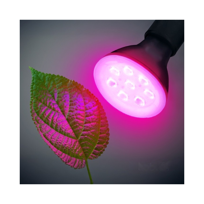 LED Žiarovka na rast rastlín PLANTY E27/7W/230V 1200K čierna