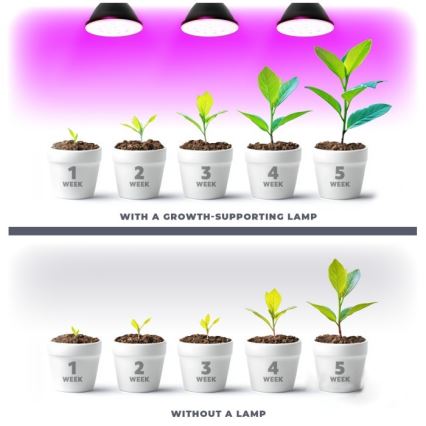 LED Žiarovka na rast rastlín PLANTY E27/7W/230V 1200K čierna