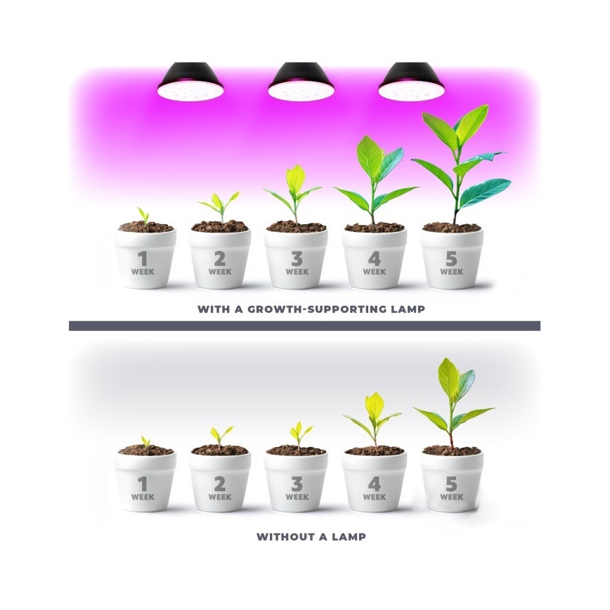 LED Žiarovka na rast rastlín PLANTY E27/7W/230V 1200K čierna