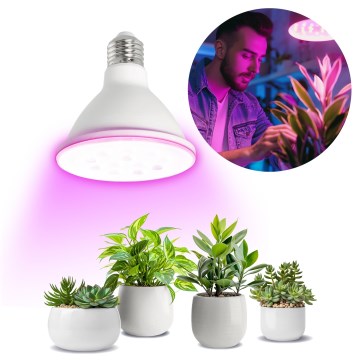 LED Žiarovka na rast rastlín PLANTY E27/9W/230V 1200K biela