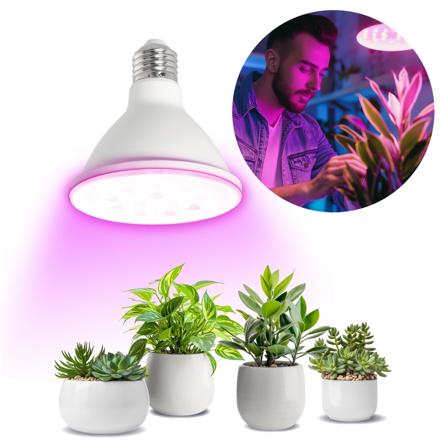 LED Žiarovka na rast rastlín PLANTY E27/9W/230V 1200K biela