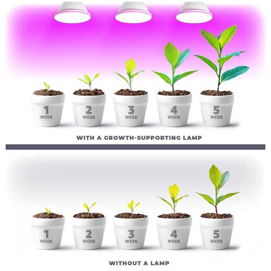 LED Žiarovka na rast rastlín PLANTY E27/9W/230V 1200K biela