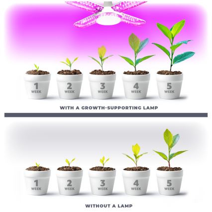 LED Žiarovka na rast rastlín VITABLOOM E27/40W/230V 1200K - Brilagi