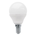 LED žiarovka P45 E14/3W/230V 3000K - Eglo 10819