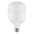 LED žiarovka T100 E27, 30 W, 230 V, 6500 K