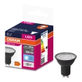 LED Žiarovka VALUE PAR16 GU10/4,5W/230V 6500K 36° čierna - Osram