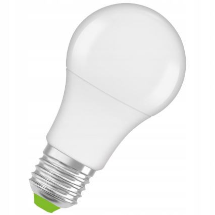 LED žiarovka svieti. Má tvar klasickej žiarovky s bielym plastovým telom a skrutkovacím kovový spodnú časťou. Na spodku je viditeľný zelený prvok. Žiarovka je zobrazená na bielom pozadí.