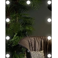 LED Zrkadlo s osvetlením 9xLED/1W/230V 3000/4000/6000K 50x40 cm IP44