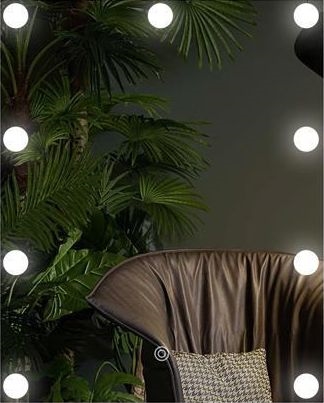LED Zrkadlo s osvetlením 9xLED/1W/230V 3000/4000/6000K 50x40 cm IP44