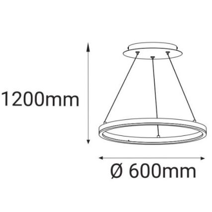 LED2 - LED Luster na lanku CIRCLE LED/42W/230V