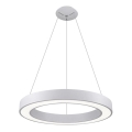 LED2 - LED Luster na lanku SATURN LED/50W/230V 3000/4000K biela