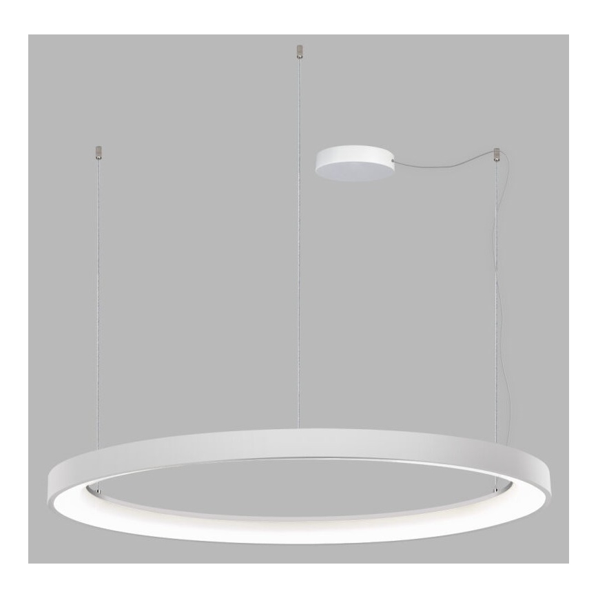 LED2 - LED Stmievateľný luster na lanku BELLA LED/80W/230V 3000K/4000K biela
