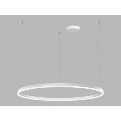 LED2 - LED Stmievateľný luster na lanku CIRCLE LED/80W/230V 3000K/4000K pr. 100 cm biela