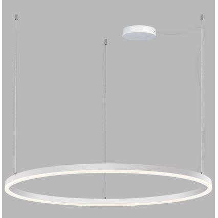 LED2 - LED Stmievateľný luster na lanku SATURN LED/80W/230V pr. 100 cm biela