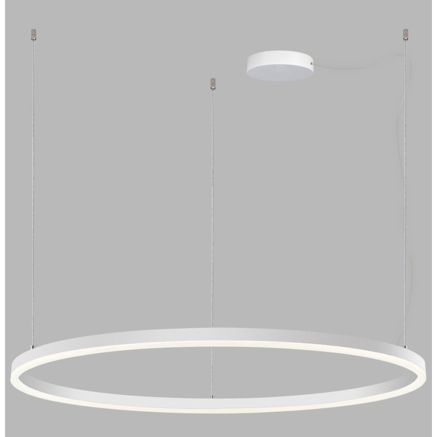 LED2 - LED Stmievateľný luster na lanku SATURN LED/80W/230V pr. 100 cm biela
